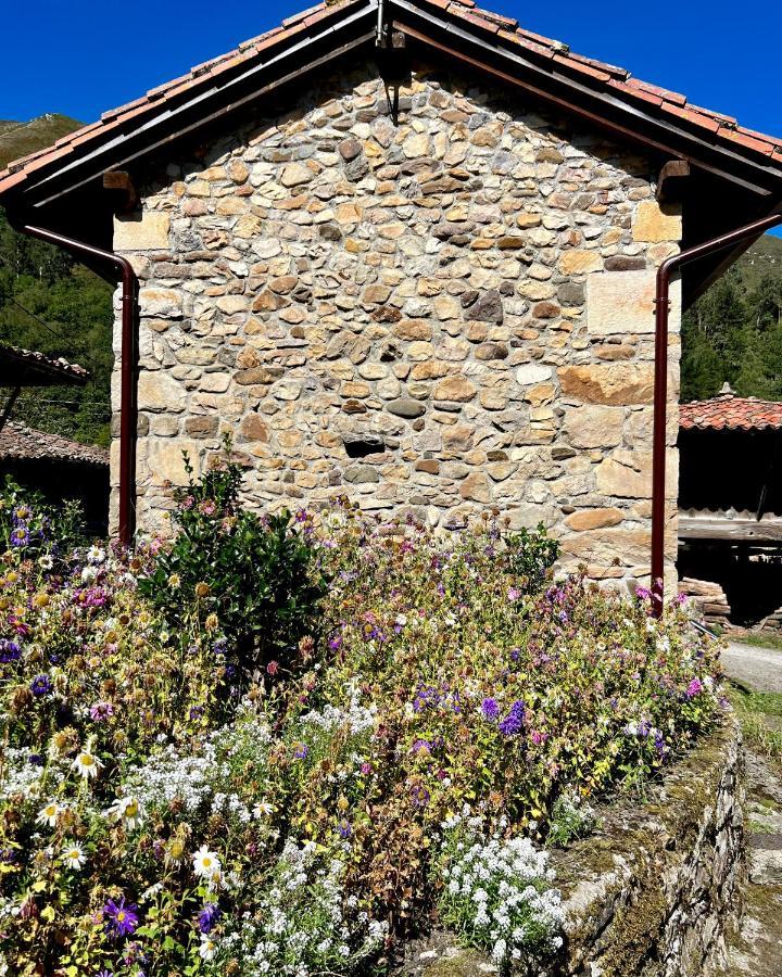 La casita de Olivia Espinaredo La Villa Exterior foto
